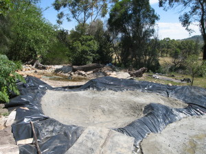 Pond In Progress