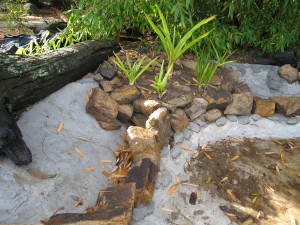 Seated Rocks and Submerged Integral Bog