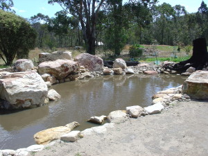 Freshly Filled Pond